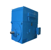 東元大中型異步電動(dòng)機(jī)